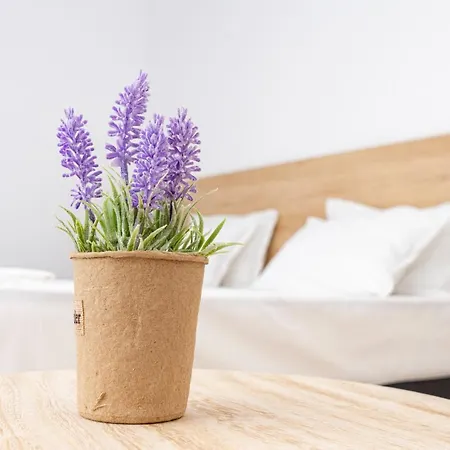 Aparthotel Primorsko アパート 4*