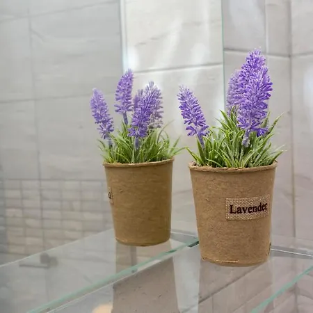 アパート Aparthotel Primorsko 4*