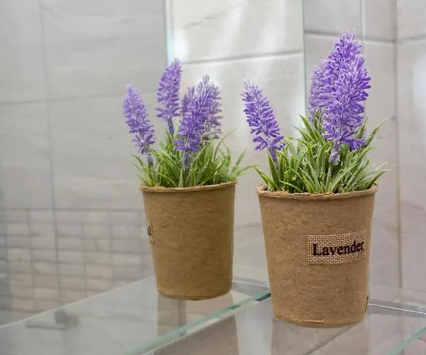 Apartamento Aparthotel Primorsko 4*